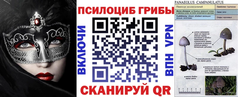 Галлюциногенные грибы прущие грибы  Череповец 