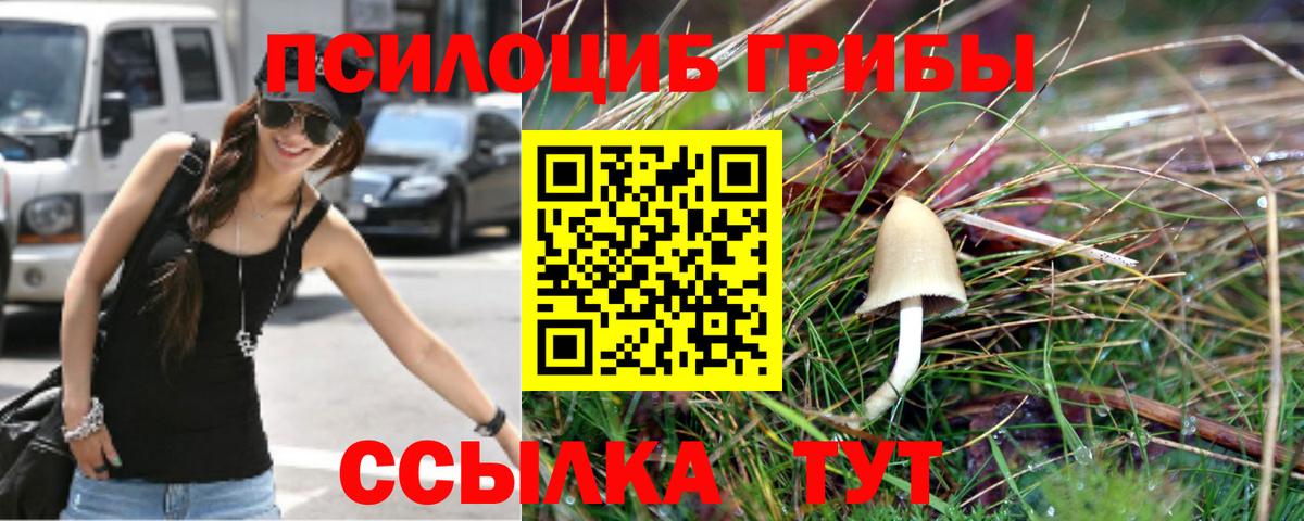 Череповец  Галлюциногенные грибы мицелий  Вход с VPN 