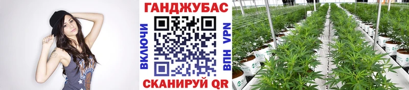 купить  цена  omg как войти  Марихуана тримм  Череповец 